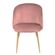 Elisa-Rosa---1-