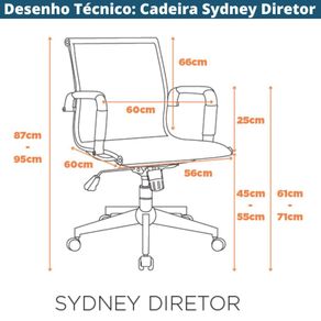 Kit-2-Cadeiras-Giratoria-Office-Sydney-Diretor-Fratini-Tela-Preta