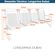 Longarina-Dubai-4-lugares--4-