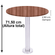 Mesa-Beta-Fixa-Inox-7150-cm--Alt--Disco-Redondo-tampo-walnut-medidas-v2