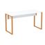 Mesa-Escritorio-P25-Tubular-120cm-x-60-cm-