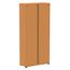 Armario-Alto-2-portas-Pandin-80-cm--Largura--Inmetro-Estrutura-e-Portas-Aco-Cinza-c--Chave-Aberto-de-Lado