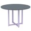 Mesa-de-Reuniao-Redonda-P25-Pandin-110-cm--Largura--Tampo-MDP-Grafito-Pe-Aco-Tubular-Lilas
